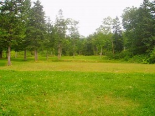 上里森林公園キャンプ場