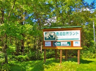 鹿追自然ランドキャンプ場