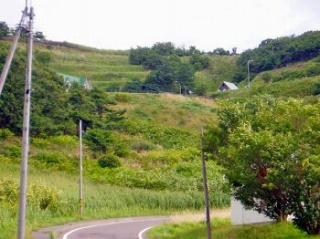 積丹岬キャンプ場