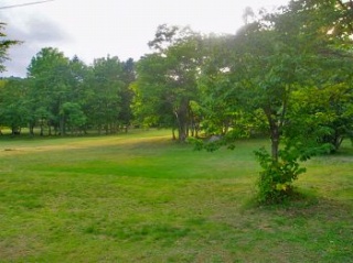 士別市日向森林公園キャンプ場